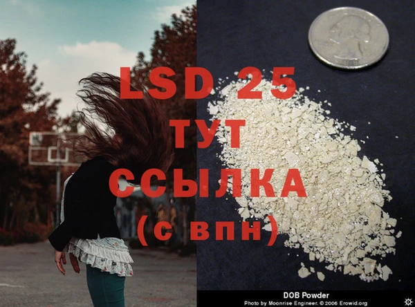 стафф Абдулино