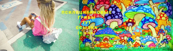 стафф Абдулино