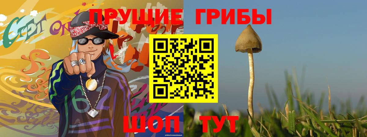 где можно купить   Галлюциногенные грибы прущие грибы  Дербент  Вход с VPN  Псилоцибиновые грибы GOLDEN TEACHER 